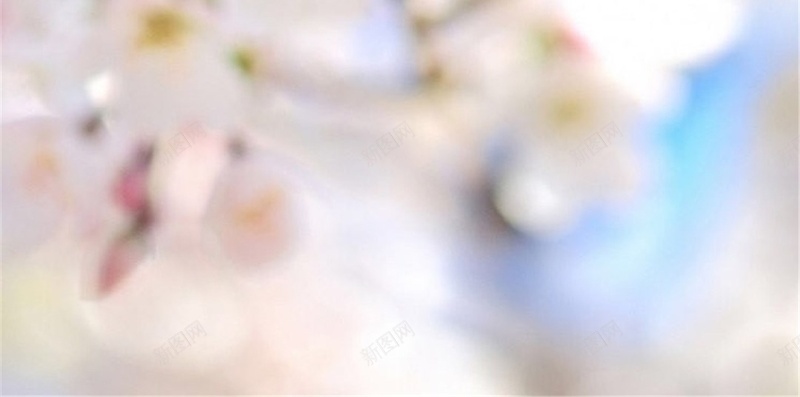 白色花朵摄影H5背景jpg_新图网 https://ixintu.com 花 唯美 浪漫 花季 白色 H5 h5 摄影 风景