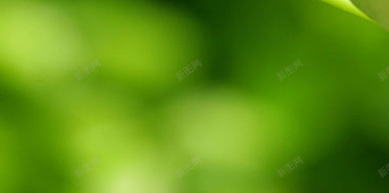绿色养眼高清手机H5背景jpg设计背景_新图网 https://ixintu.com 绿色 植物 摄影 简约 风景 H5 h5