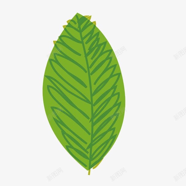 卡通绿叶脉络清晰png免抠素材_新图网 https://ixintu.com 卡通 清晰 绿叶 脉络 脉络图