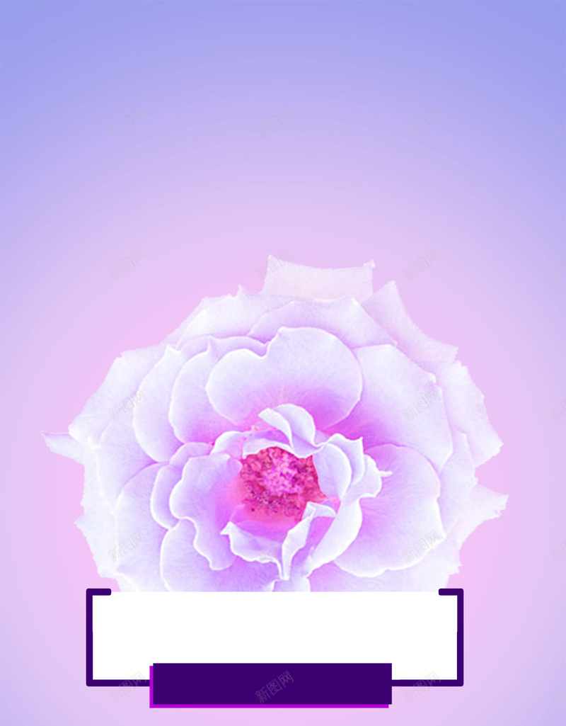 内衣性感美丽维多利亚秘密双11psd设计背景_新图网 https://ixintu.com 内衣 内衣促销 内衣打折 内衣模特 内衣美女 双11 女人节 性感 维多利亚秘密 美丽 美体