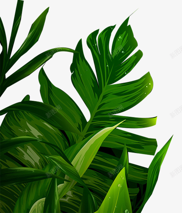 植物叶子森系公园绿化png免抠素材_新图网 https://ixintu.com 公园 叶子 植物 生态 盆景 绿化 绿色 观赏