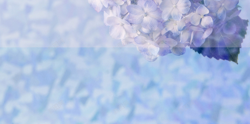 紫色花朵浪漫梦幻背景素材jpg设计背景_新图网 https://ixintu.com 紫色 花朵 浪漫 梦幻 背景 素材 H5 摄影 唯美