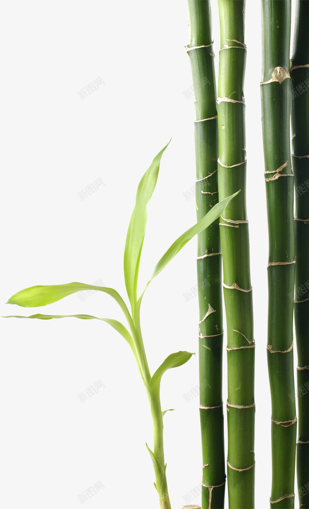 PS笔刷图集古风3png免抠素材_新图网 https://ixintu.com PS 古风 图集 笔刷