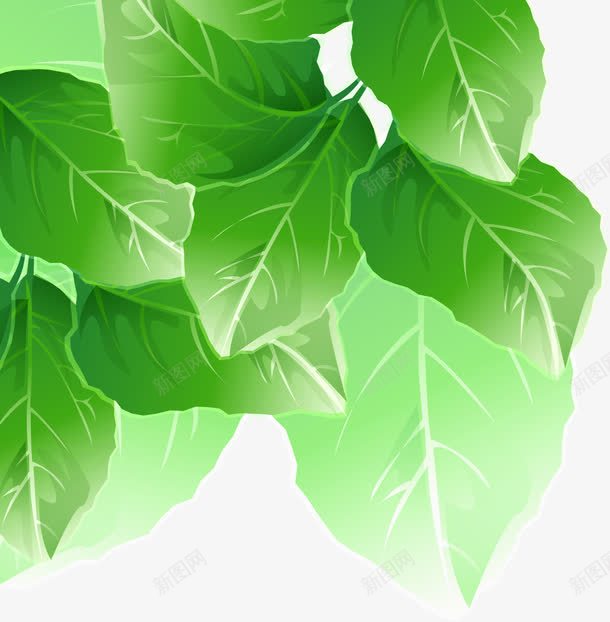 绿色梦幻卡通树叶装饰png免抠素材_新图网 https://ixintu.com 卡通 树叶 梦幻 绿色 装饰