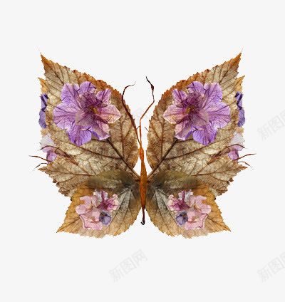 花色叶子拼成的蝴蝶结png免抠素材_新图网 https://ixintu.com 干枯 纹理 花朵