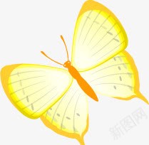 手绘黄色卡通蝴蝶飞舞png免抠素材_新图网 https://ixintu.com 卡通 蝴蝶 飞舞 黄色