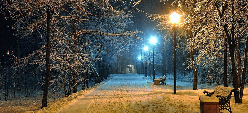 风景蓝天树路背景jpg设计背景_新图网 https://ixintu.com 风景 蓝天 树 路 海报banner 摄影