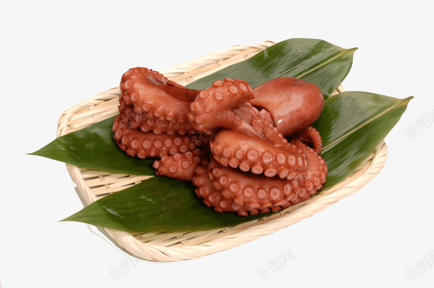 八角新鲜章鱼psd免抠素材_新图网 https://ixintu.com 新鲜 海鲜 章鱼 食物