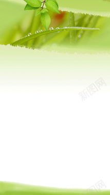 淡雅绿色树叶边框H5背景背景