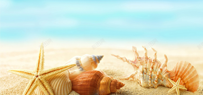 贝壳海星背景jpg设计背景_新图网 https://ixintu.com 贝壳 海星 背景 海报banner 摄影 风景