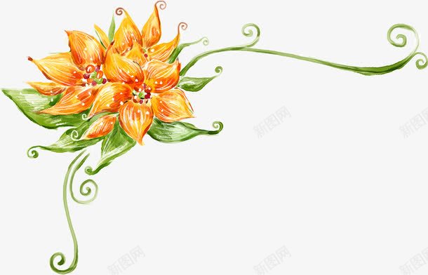手绘唯美清新花朵植物插画png免抠素材_新图网 https://ixintu.com 插画 植物 清新 花朵