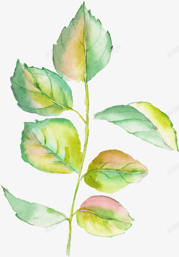 水墨绿植png免抠素材_新图网 https://ixintu.com 卡通 叶子 手绘 植物 水墨 简图 绿植 绿色 黄色