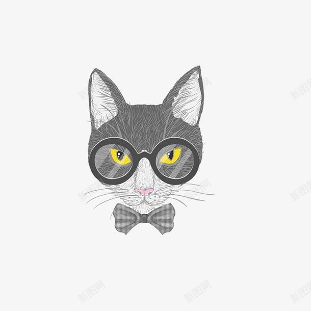 戴眼镜的长脸猫png免抠素材_新图网 https://ixintu.com 戴眼镜的猫 灰色领结 长耳朵 长胡须 长脸 黄眼睛 黑框眼镜