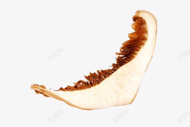 切片的干冬菇png免抠素材_新图网 https://ixintu.com 切片 南北干货 干冬菇 干燥 干货 食材