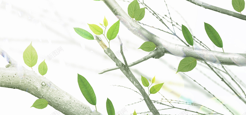 日系文艺清新淡色树枝绿叶背景jpg设计背景_新图网 https://ixintu.com 日系 文艺 清新 淡色 树枝 绿叶 背景 海报banner 摄影 风景
