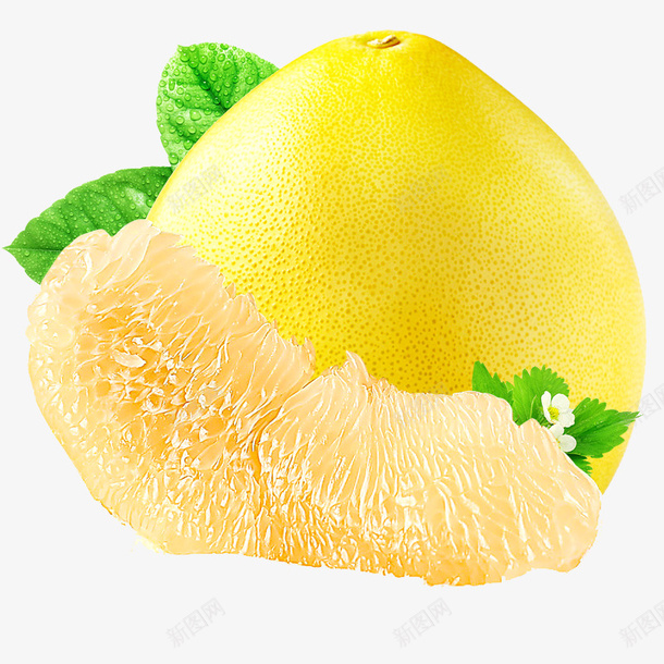 黄心蜜柚黄金柚png免抠素材_新图网 https://ixintu.com 剥柚子 柚子 柚子叶子 柚子罐头 蜜柚奶茶 黄肉柚子 黄金柚