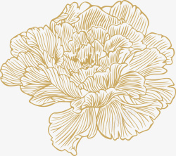牡丹元素字体线条牡丹花朵高清图片