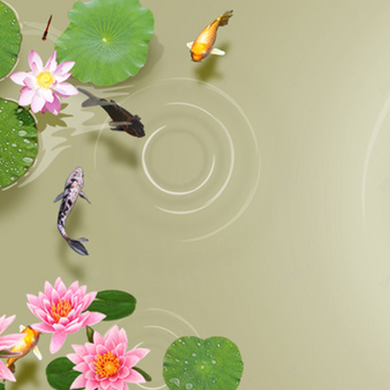 水中鲤鱼荷花中国风背景图jpg设计背景_新图网 https://ixintu.com 河水 鲤鱼 荷花 荷叶 涟漪 中国风 主图