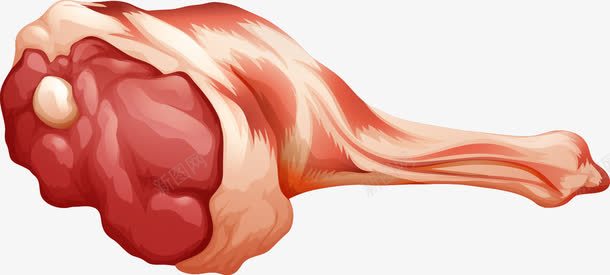 肉制品元素png免抠素材_新图网 https://ixintu.com 肉火腿大腿食物