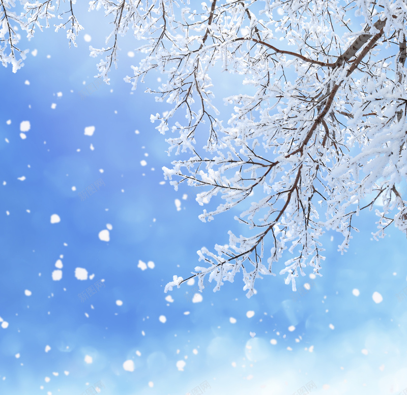 冬季雪景圣诞节淘宝素材背景jpg设计背景_新图网 https://ixintu.com 冬季 雪景 圣诞节 淘宝素材 摄影 风景