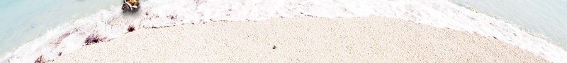 缤纷盛夏畅享低价psd设计背景_新图网 https://ixintu.com 夏日背景 大海沙滩 激情 狂欢 畅享低价 盛夏海滩 缤纷盛夏 贝壳椰子树