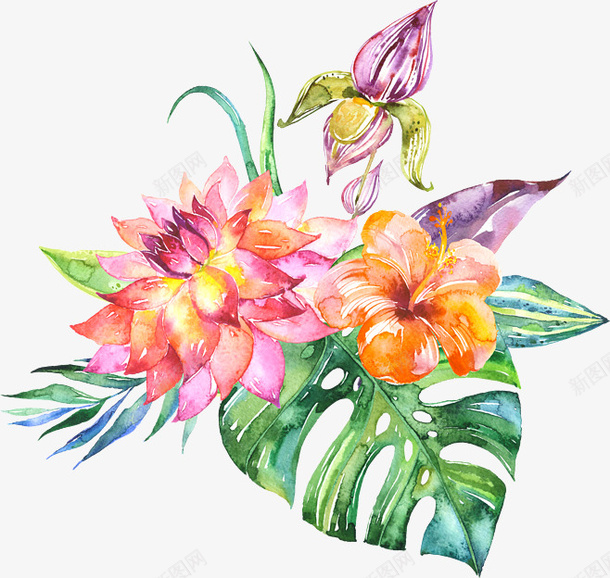 手绘门口水彩龟背叶北欧png免抠素材_新图网 https://ixintu.com 北欧 手绘 水彩 门口 龟背叶