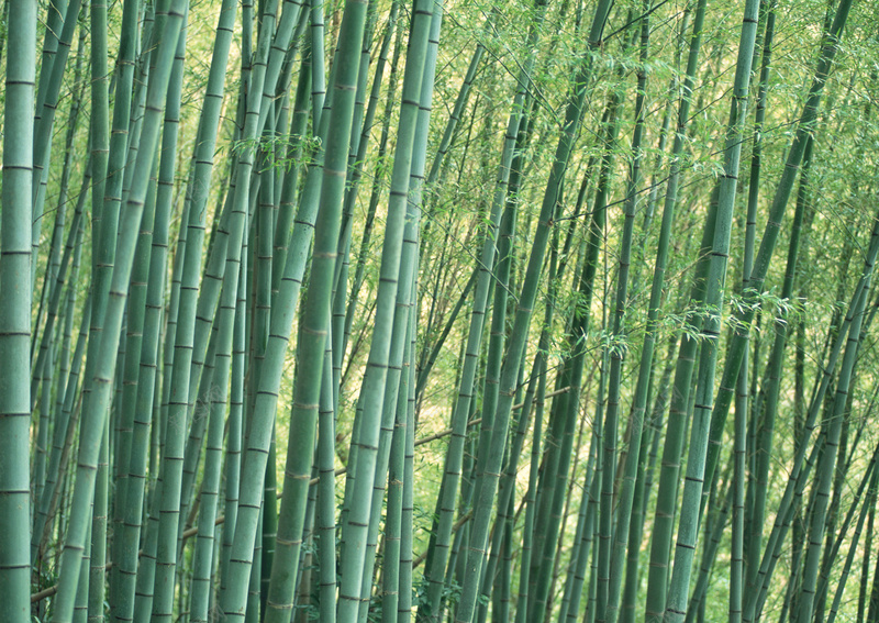 背景大图风景11jpg设计背景_新图网 https://ixintu.com 摄影 清新 风景 高清