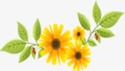 唯美朦胧花朵植物清新png免抠素材_新图网 https://ixintu.com 朦胧 植物 清新 花朵 设计