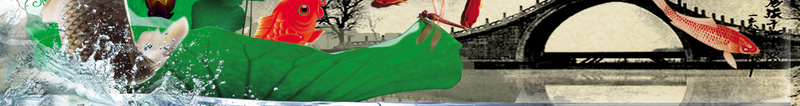 中秋节节日促销狂欢背景jpg设计背景_新图网 https://ixintu.com 中秋节 节日 促销 狂欢 国庆 金鱼 花卉 中国风