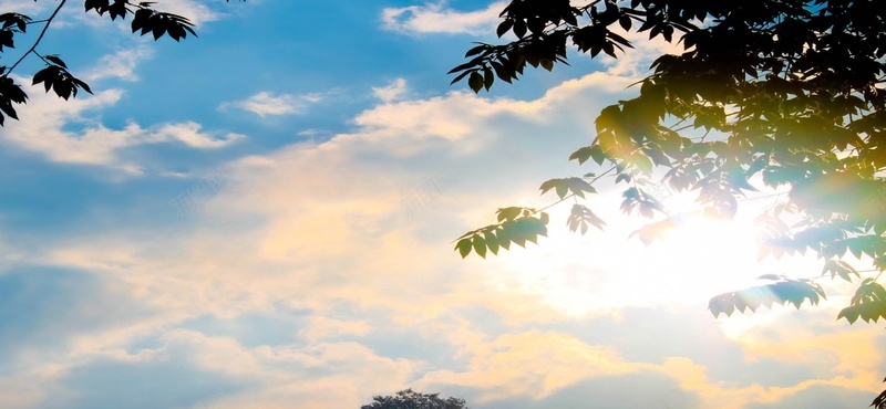 晴朗天空蓝天白云树叶清新背景jpg设计背景_新图网 https://ixintu.com 晴朗天空 蓝天 白云 树叶 清新 海报banner 摄影 风景