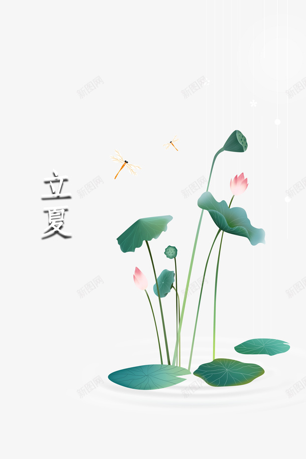 立夏莲花蜻蜓二十四节气psd免抠素材_新图网 https://ixintu.com 二十四节气 立夏 莲花 蜻蜓