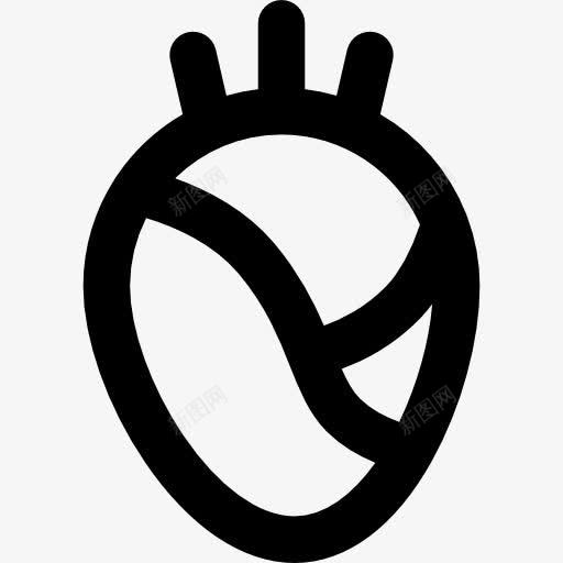 心图标png_新图网 https://ixintu.com 健康保健 健康诊所 医学 器官 身体部位