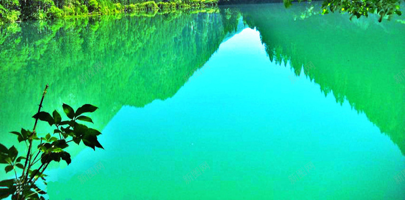 旅游H5海报素材jpg设计背景_新图网 https://ixintu.com 九寨沟 湖水 倒影 大树 绿色 蓝天 旅游 旅游海报