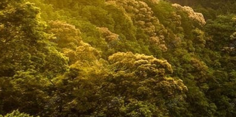 风景绿山黄云H5背景素材jpg设计背景_新图网 https://ixintu.com 风景 绿山 黄云 绿树 素材背景 H5 风景素材 风景背景