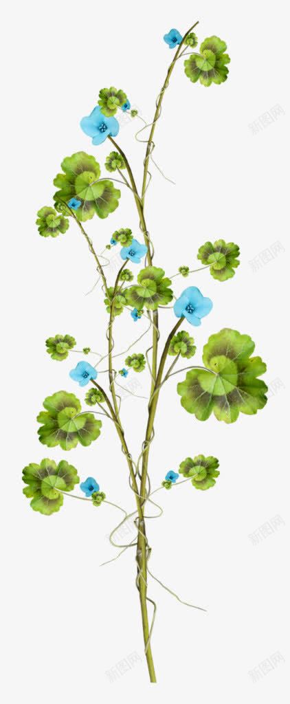 蓝色花朵缠绕绿色树叶png免抠素材_新图网 https://ixintu.com 树叶 绿色 缠绕 花朵 蓝色
