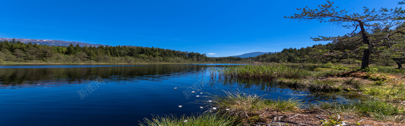 树木湖泊背景jpg设计背景_新图网 https://ixintu.com 树木 湖泊 海报banner 摄影 风景