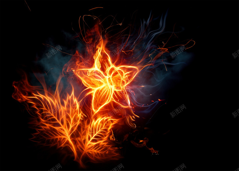 激情火焰花朵背景jpg设计背景_新图网 https://ixintu.com 激情 火焰 火焰喷射 狂欢 花朵