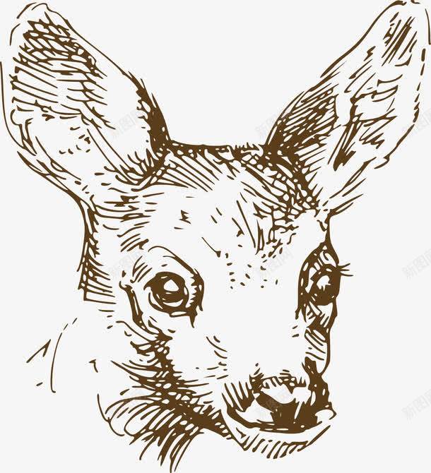 逼真手绘野生鹿头png免抠素材_新图网 https://ixintu.com 手绘 逼真 野生鹿头