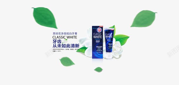 芜琼花亮丽炫白牙膏png免抠素材_新图网 https://ixintu.com 产品实物 牙膏 芜琼花