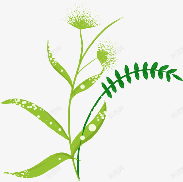 绿色大片枝叶葱花装饰植物png免抠素材_新图网 https://ixintu.com 一支绿植 绿色桔梗 绿色细长叶片 装饰植物