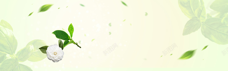 初夏扁平绿色树叶bannerpsd设计背景_新图网 https://ixintu.com anner banner 促销 初夏 女装 扁平 打折 服装 树叶 活动 绿色 黄底