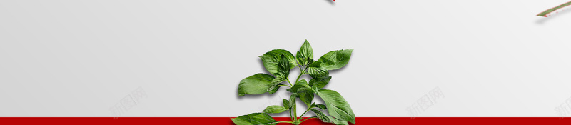 有机辣椒宣传海报PSD背景psd设计背景_新图网 https://ixintu.com PSD背景 宣传海报 有机辣椒 红色 红辣椒 辣椒 辣椒宣传 食材