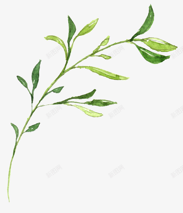 水彩绘画绿色清新树叶png免抠素材_新图网 https://ixintu.com png png图片 树叶 植物 水彩 清新 生机 绘画 绿色