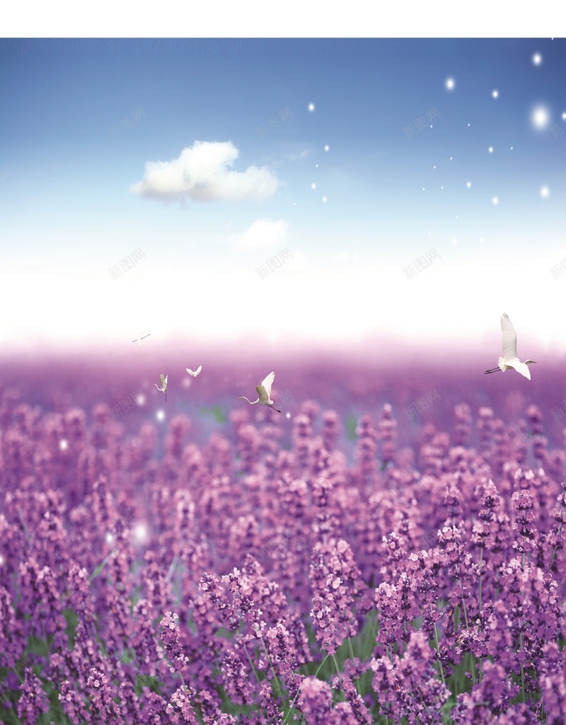 紫色浪漫薰衣草背景jpg设计背景_新图网 https://ixintu.com 小清新 文艺 浪漫 简约 紫色 紫色背景 背景素材 薰衣草