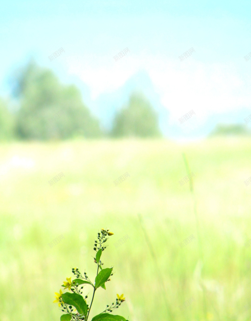 夏季牧场jpg设计背景_新图网 https://ixintu.com H5 h5 夏季 景观 梦幻 浪漫 牧场 生命