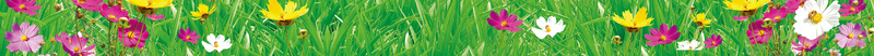 简约自然城市绿色背景psd设计背景_新图网 https://ixintu.com 城市 植被 简约 绿化 绿色 背景 自然 花园 花圃 花朵 草地
