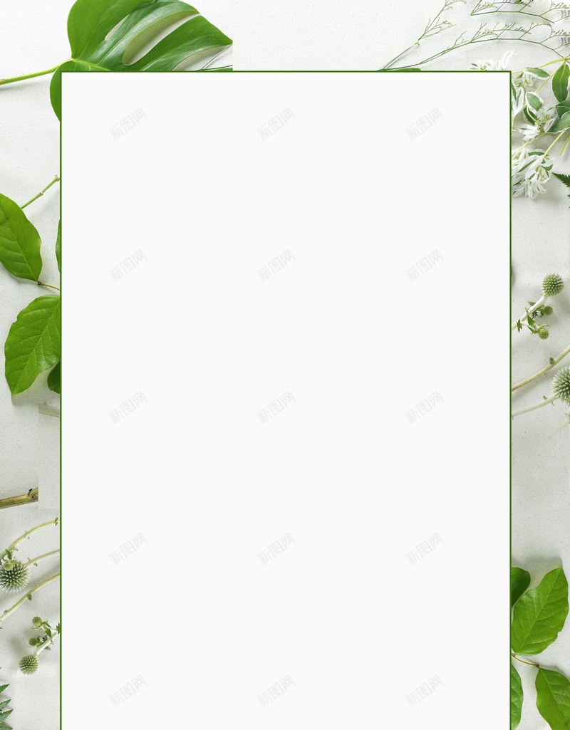 清新绿叶简约边框平面广告jpg设计背景_新图网 https://ixintu.com 平面广告 新品上市 时尚 春季 清新背景 简约边框 绿叶 边框