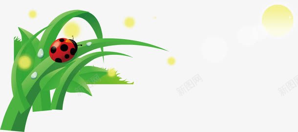 绿色环境瓢虫海报元素png免抠素材_新图网 https://ixintu.com 海报元素 环境海报 瓢虫 绿色海报 绿色环境