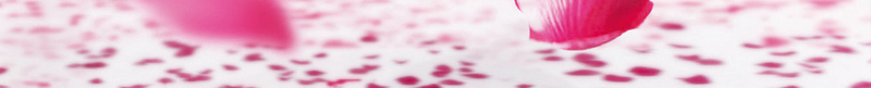 红色花瓣海报背景psd设计背景_新图网 https://ixintu.com 小清新 文艺 海报 玫瑰花 简约 背景 花 花卉 花瓣
