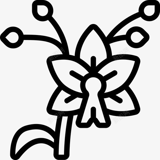 兰花印度49直系图标svg_新图网 https://ixintu.com 兰花 印度 直系